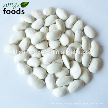 Chinese fava beans in alibaba